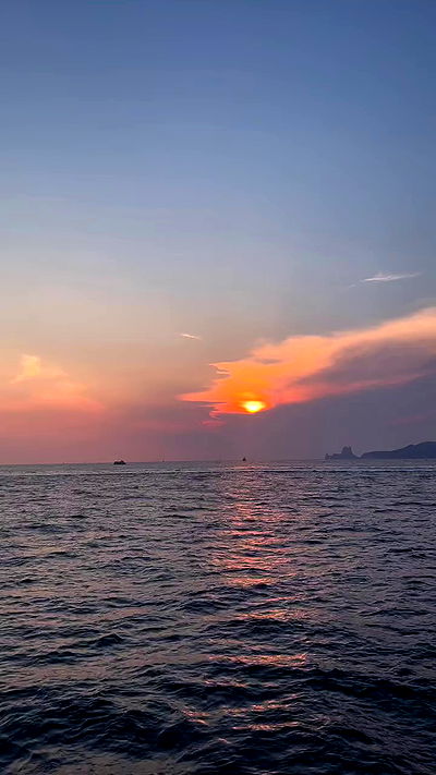 diana_polin diana_polin archive video