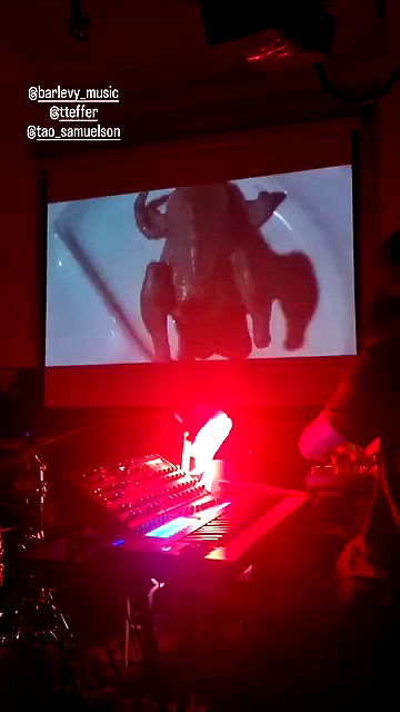 shayli_or shayli_or archive video