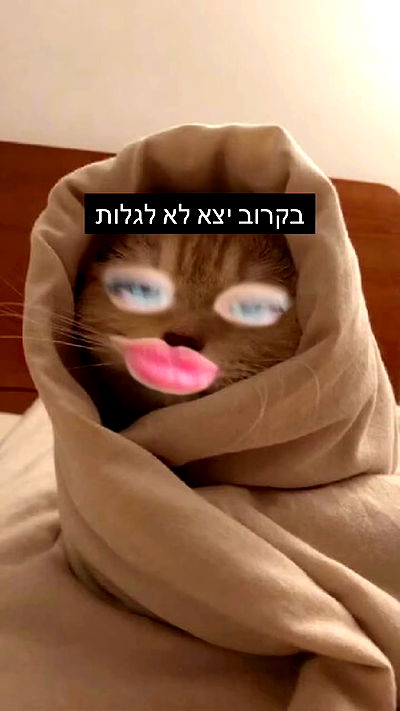 moonliliaght moonliliaght archive video