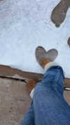 juneeberri Altpins Profile Picture