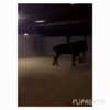 jailyneojeda Altpins Profile Picture