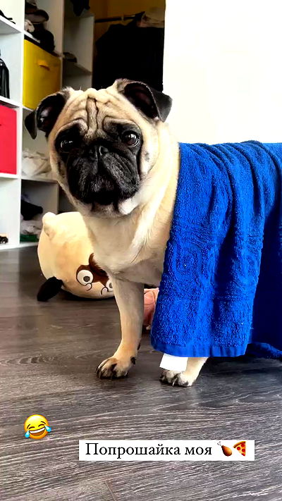 nyityam nyityam archive video