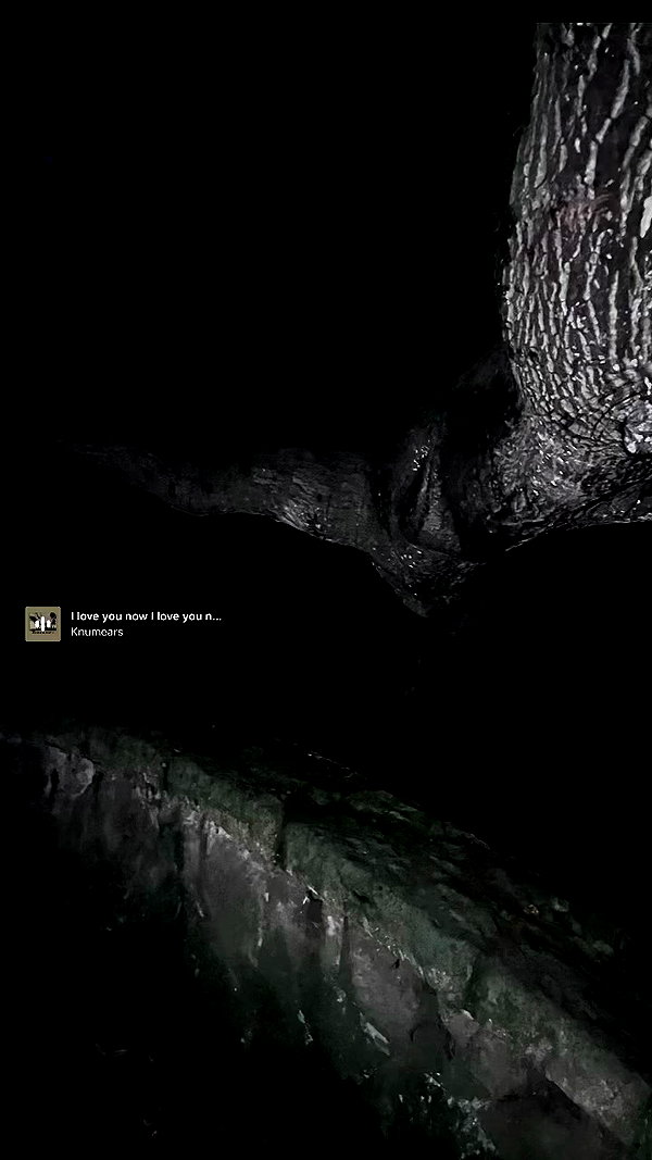 bloodyfukk archive video preview