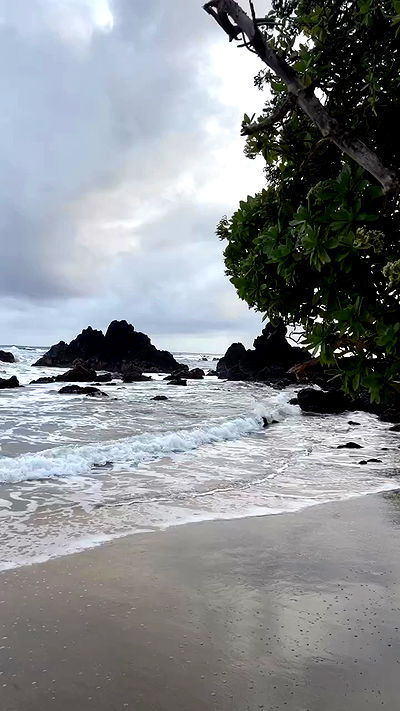 zommmbri zommmbri archive video