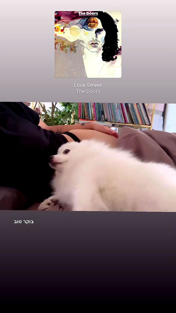 romy_ayalla_lavi archive video preview