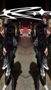 m1kalc Altpins Profile Picture