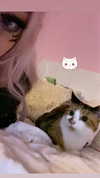 pawxai Altpins Profile Picture