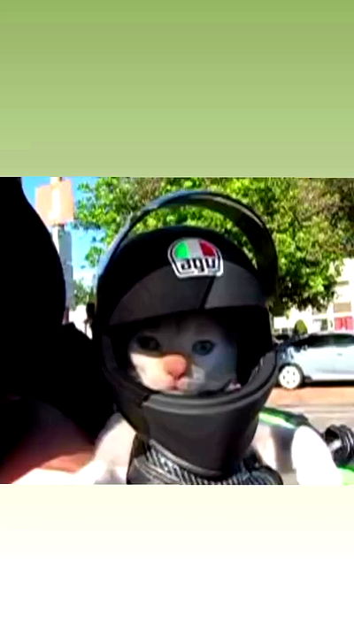 hanabellask8 hanabellask8 archive video