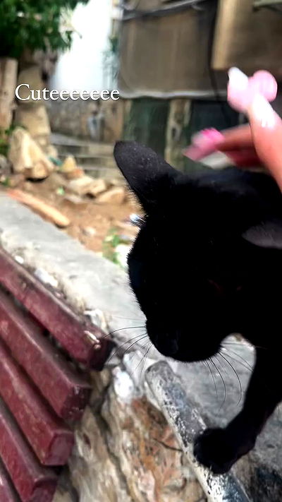 hellokittyangel666 hellokittyangel666 archive video