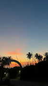 danchiii6403__ Altpins Profile Picture