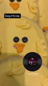 zz.eazoning Altpins Profile Picture