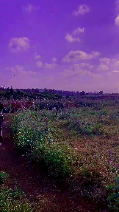 feelbetterinmysweater feelbetterinmysweater archive video