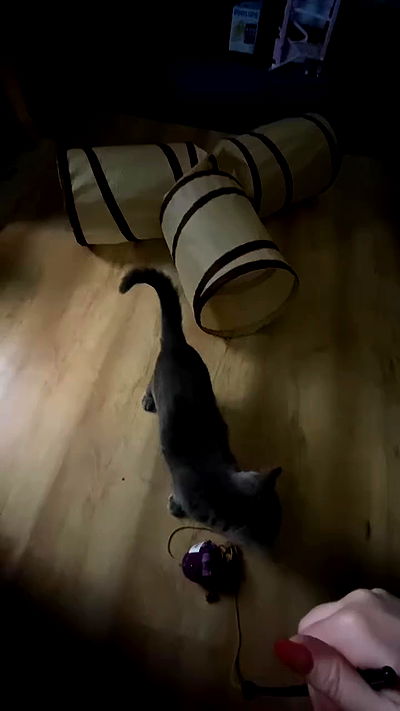 yoo.mon yoo.mon archive video