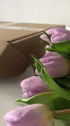 ksenia_ulitina Altpins Profile Picture