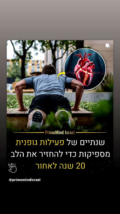 _lil_noa_ _lil_noa_ archive video