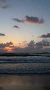 toharb_ Altpins Profile Picture