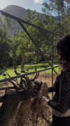 estr3iia Altpins Profile Picture