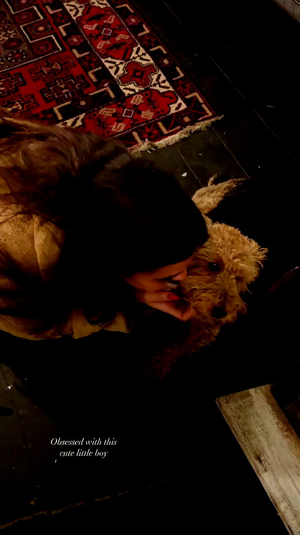 noa_mendel_ archive video preview