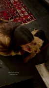 noa_mendel_ Altpins Profile Picture