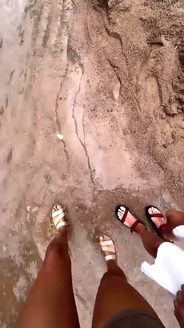 noammalka___ archive video preview