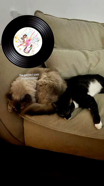 laluzone laluzone archive video