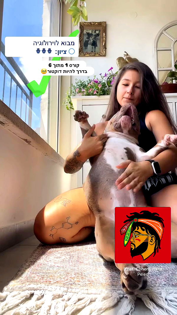 kesemgreenyer archive video preview