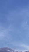 omer._shalom Altpins Profile Picture