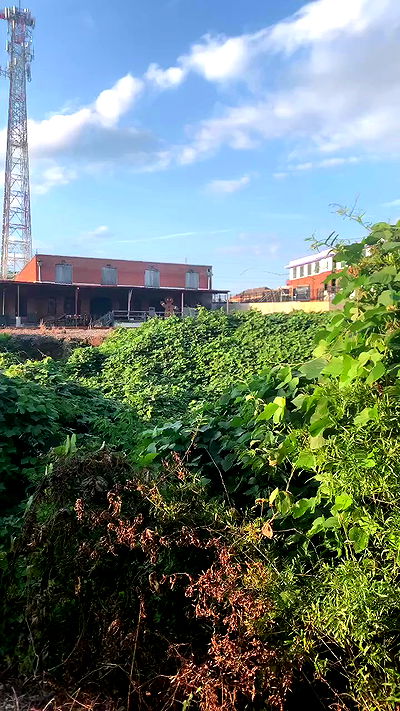 zoxmbiex zoxmbiex archive video