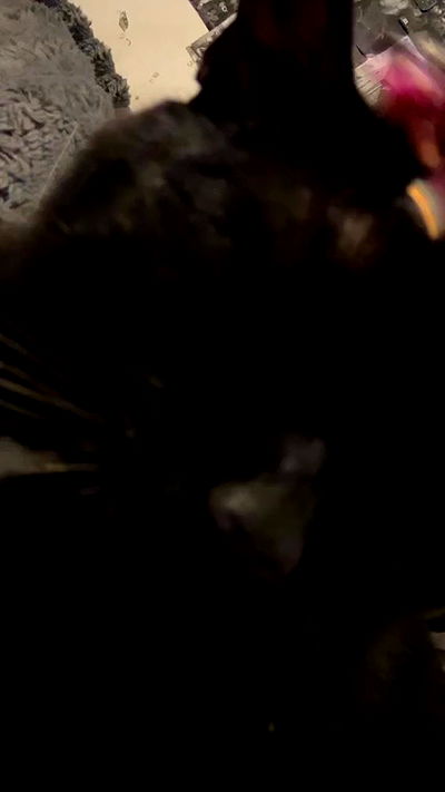 hellokittyangel666 hellokittyangel666 archive video