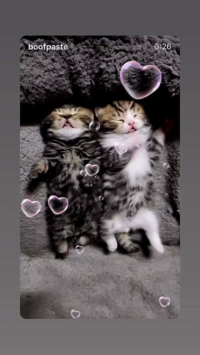 hellokittyangel666 hellokittyangel666 archive video