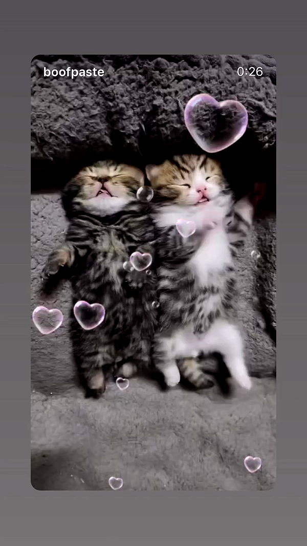 hellokittyangel666 archive video preview