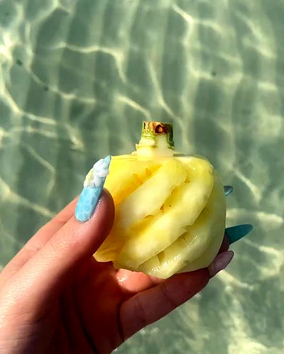 yam_adler yam_adler archive video