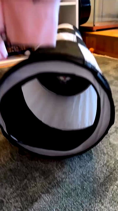 silkton silkton archive video