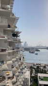 diana_tal_ Altpins Profile Picture