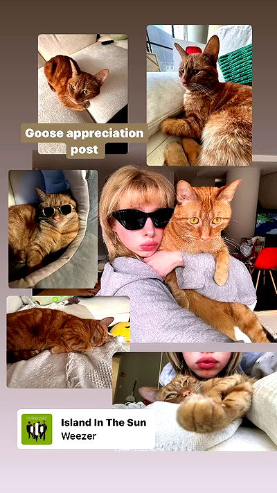 winbun.io winbun.io archive video