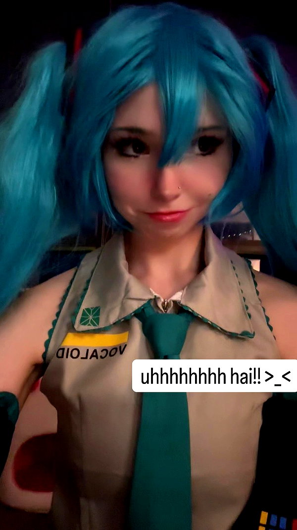 pockycatt archive video preview