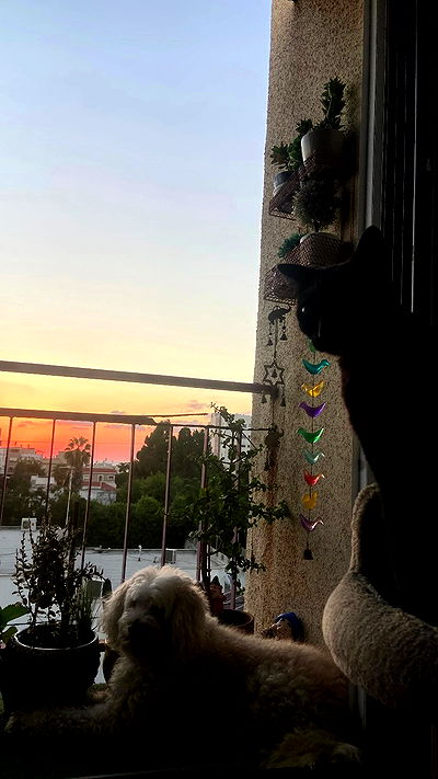 feelbetterinmysweater feelbetterinmysweater archive video