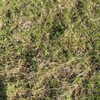 yaarat11 Altpins Profile Picture