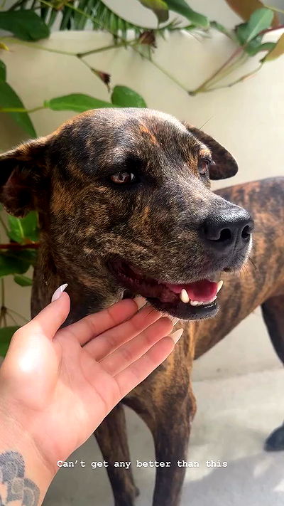 kesemgreenyer kesemgreenyer archive video