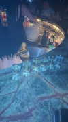 may__hillel Altpins Profile Picture