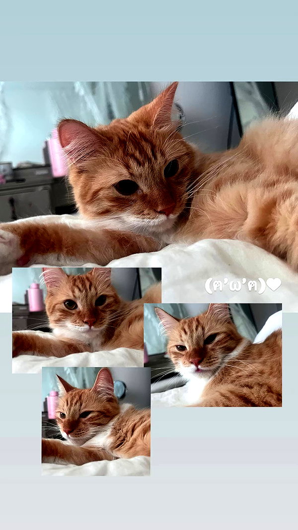 iheartpidge archive video preview