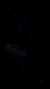 kyliecochrann Altpins Profile Picture