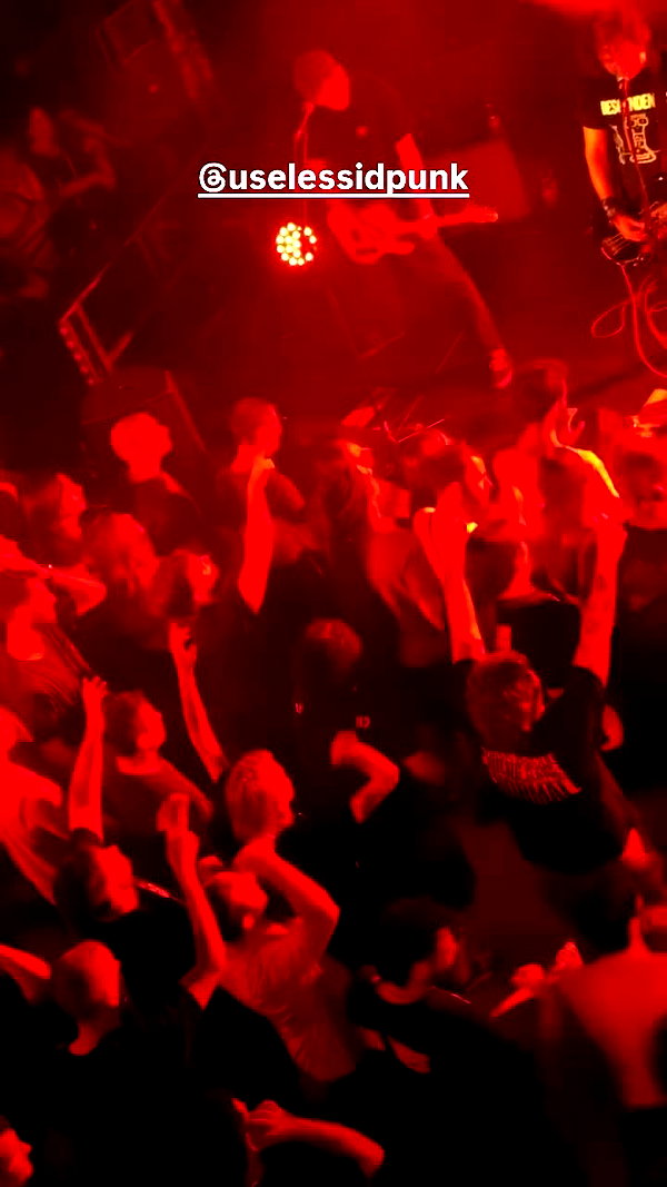 avitalll._ archive video preview