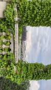 lital.oss Altpins Profile Picture