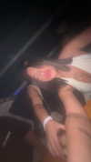 gaya_twizer Altpins Profile Picture