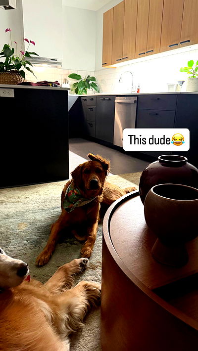 smillsap02 smillsap02 archive video