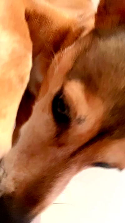 dustheadd dustheadd archive video