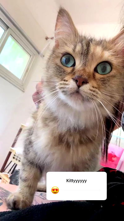 hellokittyangel666 hellokittyangel666 archive video