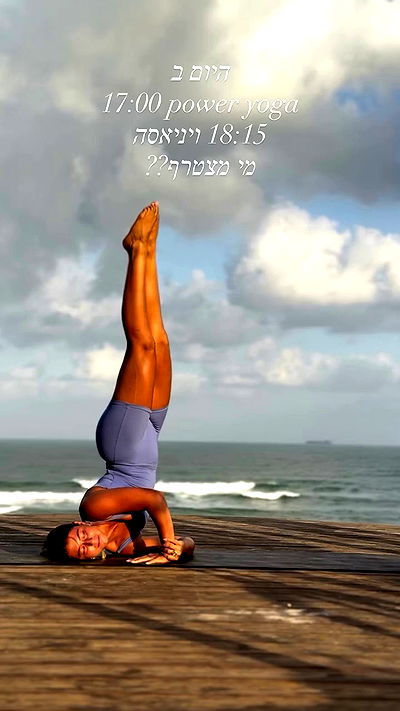 liad.arazi liad.arazi archive video