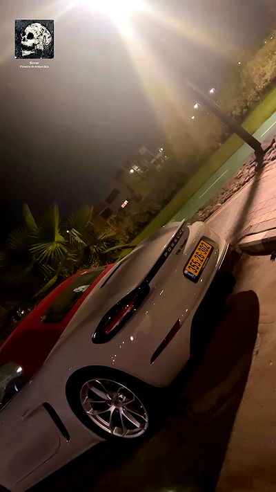 simp_for_cats_ simp_for_cats_ archive video